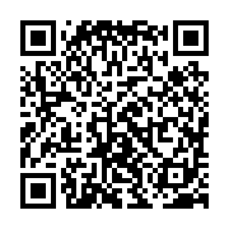 QR code for POJ291