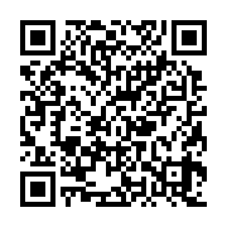 QR code for POS339