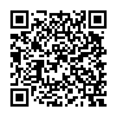 QR code for PPE493