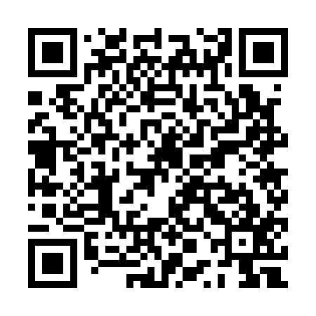QR code for PPG117