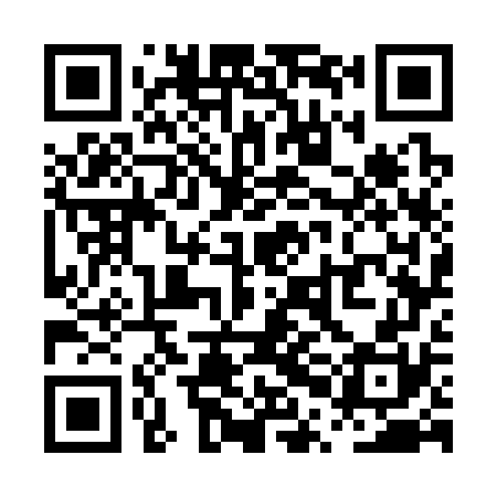 QR code for PPG370