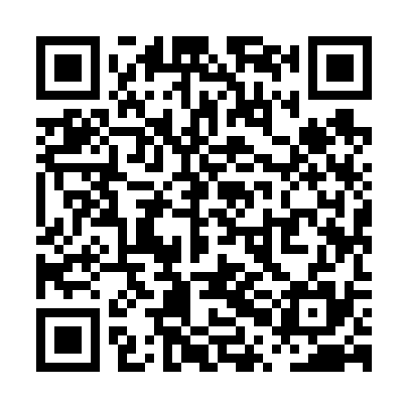QR code for PPI635