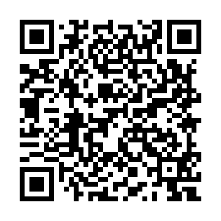 QR code for PPI991