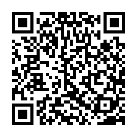 QR code for PPT369