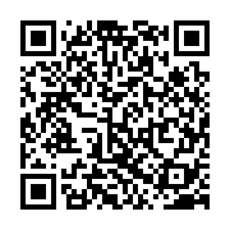 QR code for PPU379