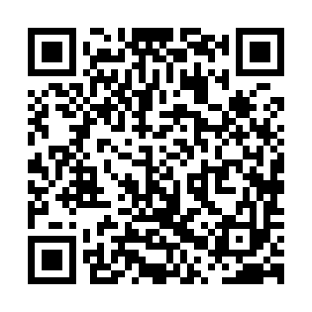QR code for PPX993
