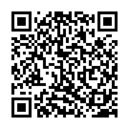 QR code for PPY931