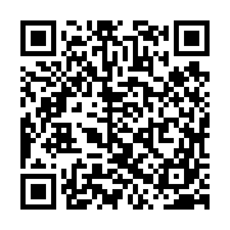 QR code for PPZ667