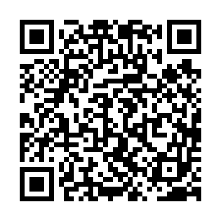 QR code for PVP653