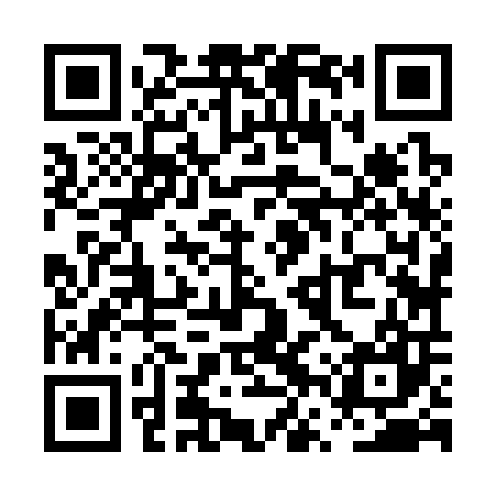 QR code for PVZ307