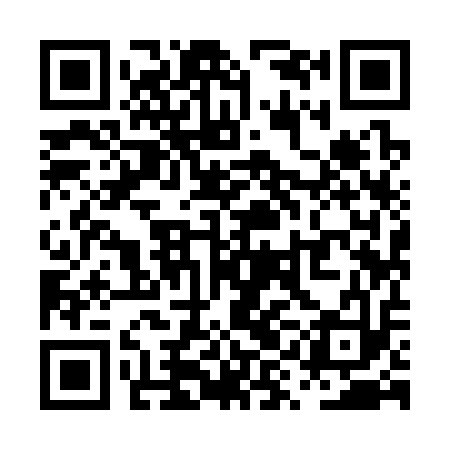 QR code for PYI313