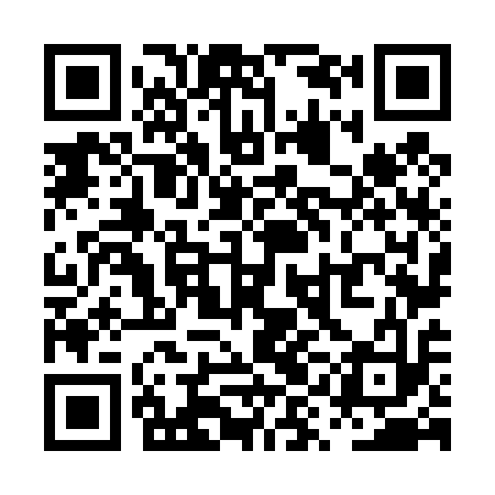 QR code for PYN413