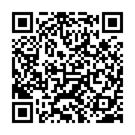 QR code for PYQ919