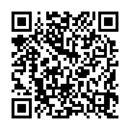 QR code for PYY383