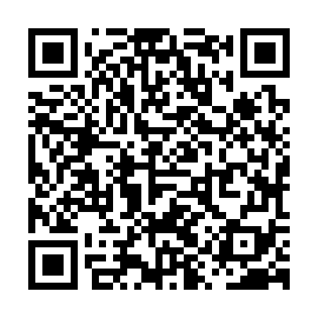 QR code for PYZ379
