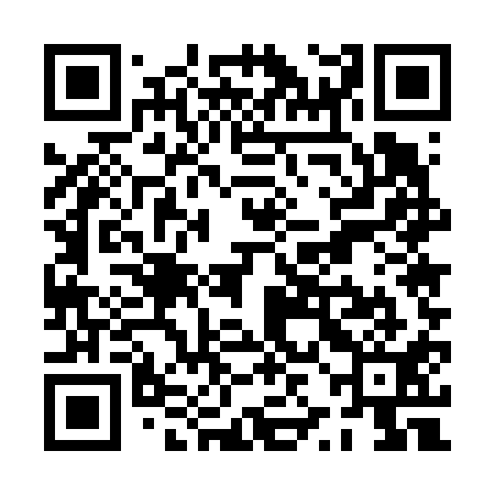 QR code for PZE611