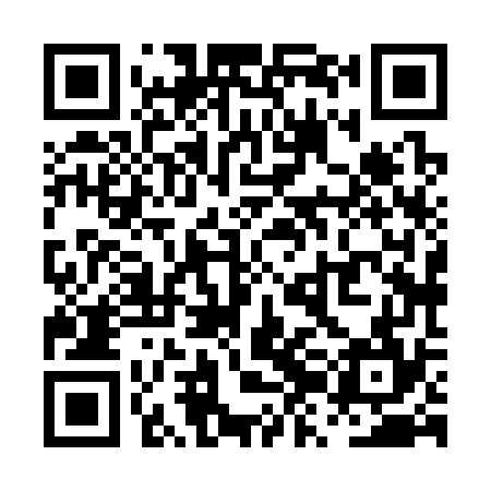 QR code for PZH374