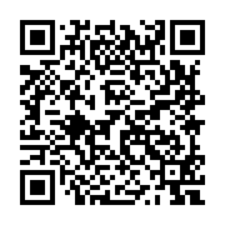 QR code for PZI991