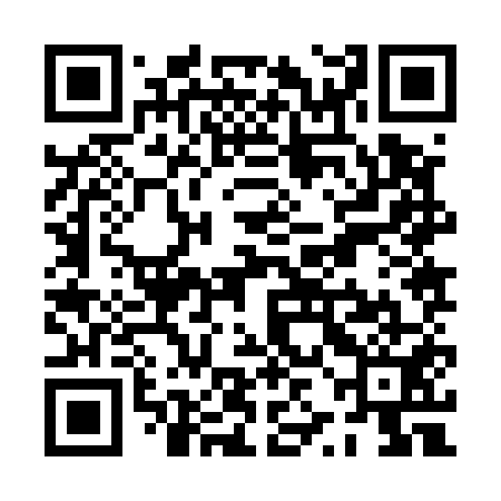 QR code for PZJ551