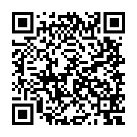QR code for PZJ599