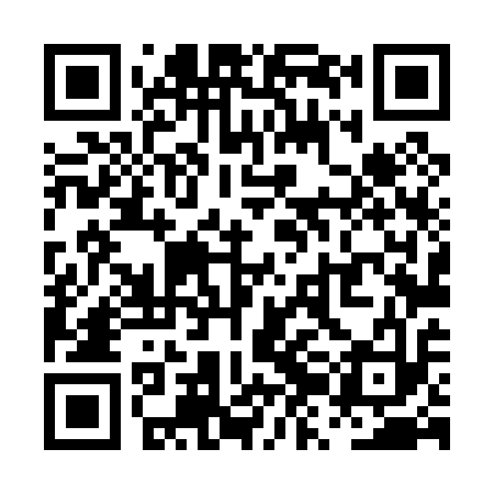 QR code for PZL013