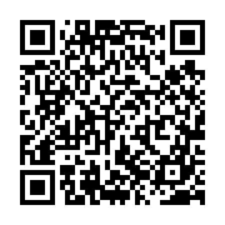 QR code for PZL667