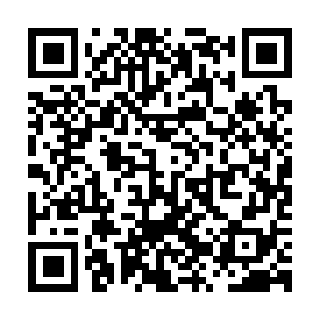 QR code for PZQ378