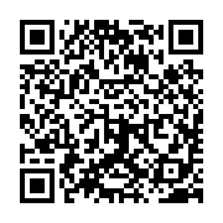 QR code for PZR298
