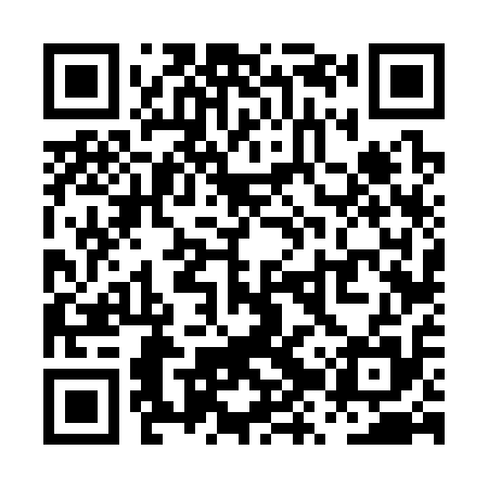 QR code for PZV315
