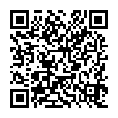 QR code for PZX991