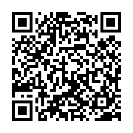 QR code for PZZ424