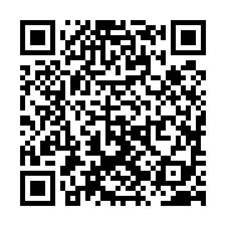 QR code for PZZ599