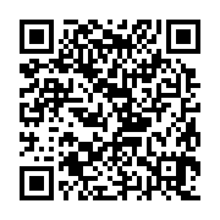 QR code for QAS385