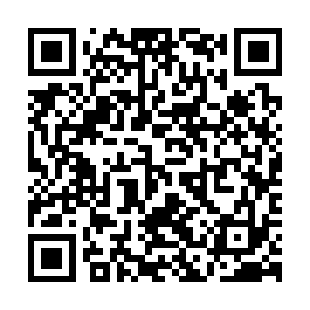 QR code for QCS333