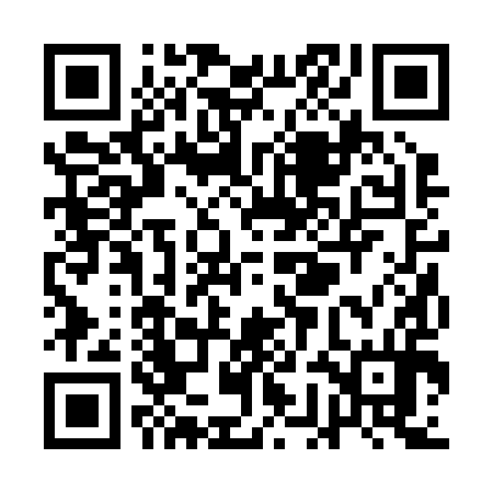QR code for QGB294