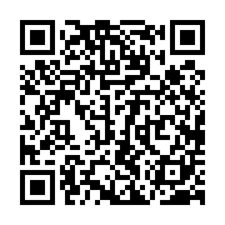 QR code for QGP501