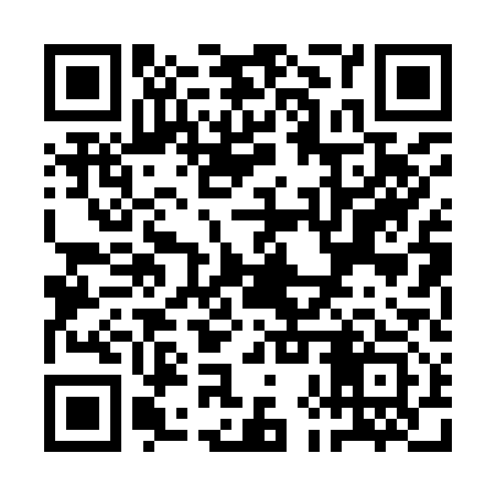 QR code for QHP913