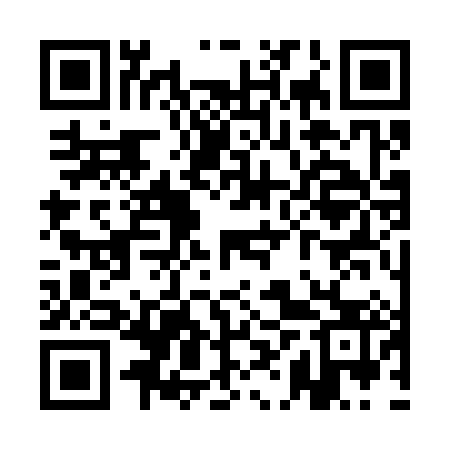 QR code for QHS383