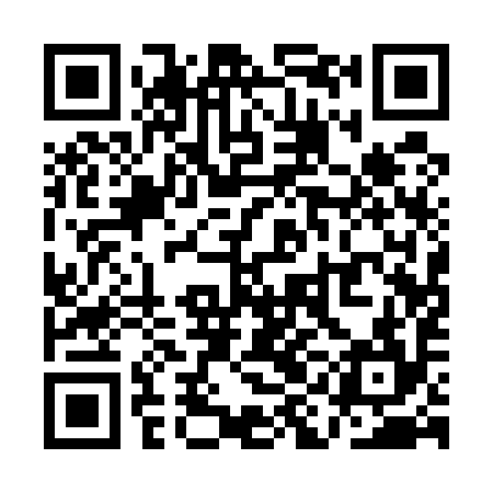 QR code for QIA594