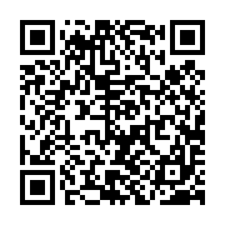 QR code for QID497