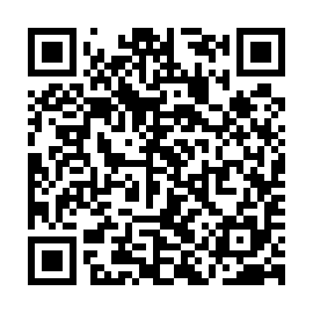 QR code for QIS595