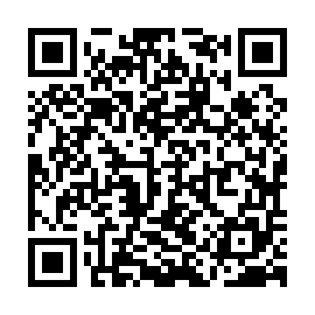 QR code for QIZ155