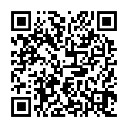 QR code for QIZ303
