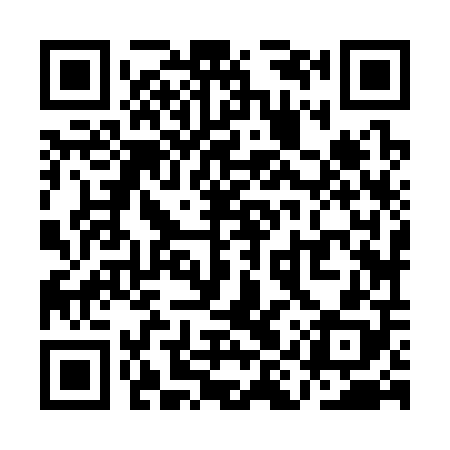QR code for QIZ308