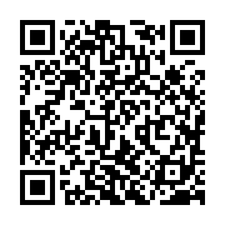 QR code for QIZ991