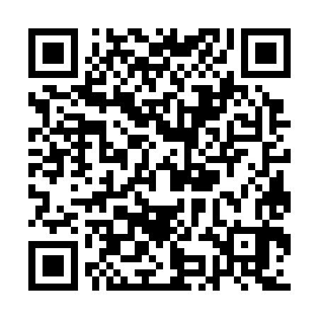 QR code for QKG383