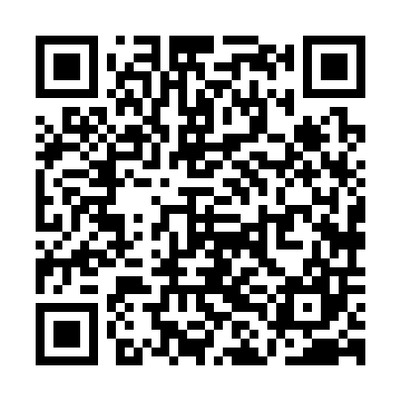 QR code for QLH307