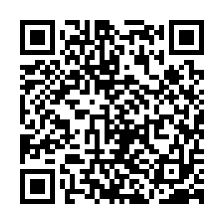 QR code for QLI313
