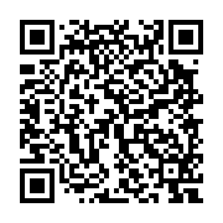 QR code for QLP096