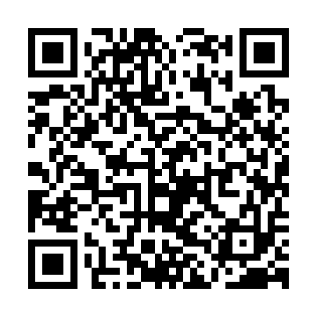QR code for QLY313